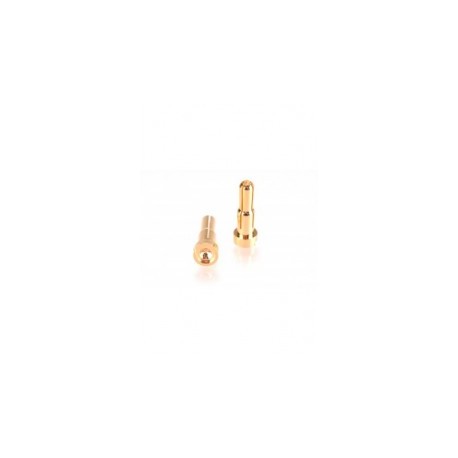 MR33 MR- GC2 Gold Connector 4mm (2pcs)