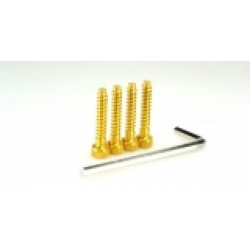 HIRO SEIKO 69406 EX1UR Light Weight screw (alloy 7075) Gold