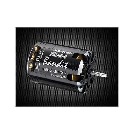 HOBBYWING HW- 30401020063 Xerun 21.5T Bandit V10 Competition Motor - Black